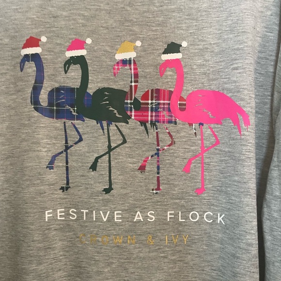 Crown & Ivy NWT Women’s Graphic “Festive As A Flock” Long Sleeve Grey T-shirt-L - Picture 3 of 9